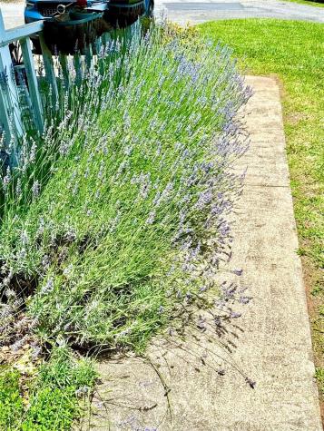 3 Rocking Porch Road Asheville NC 28805