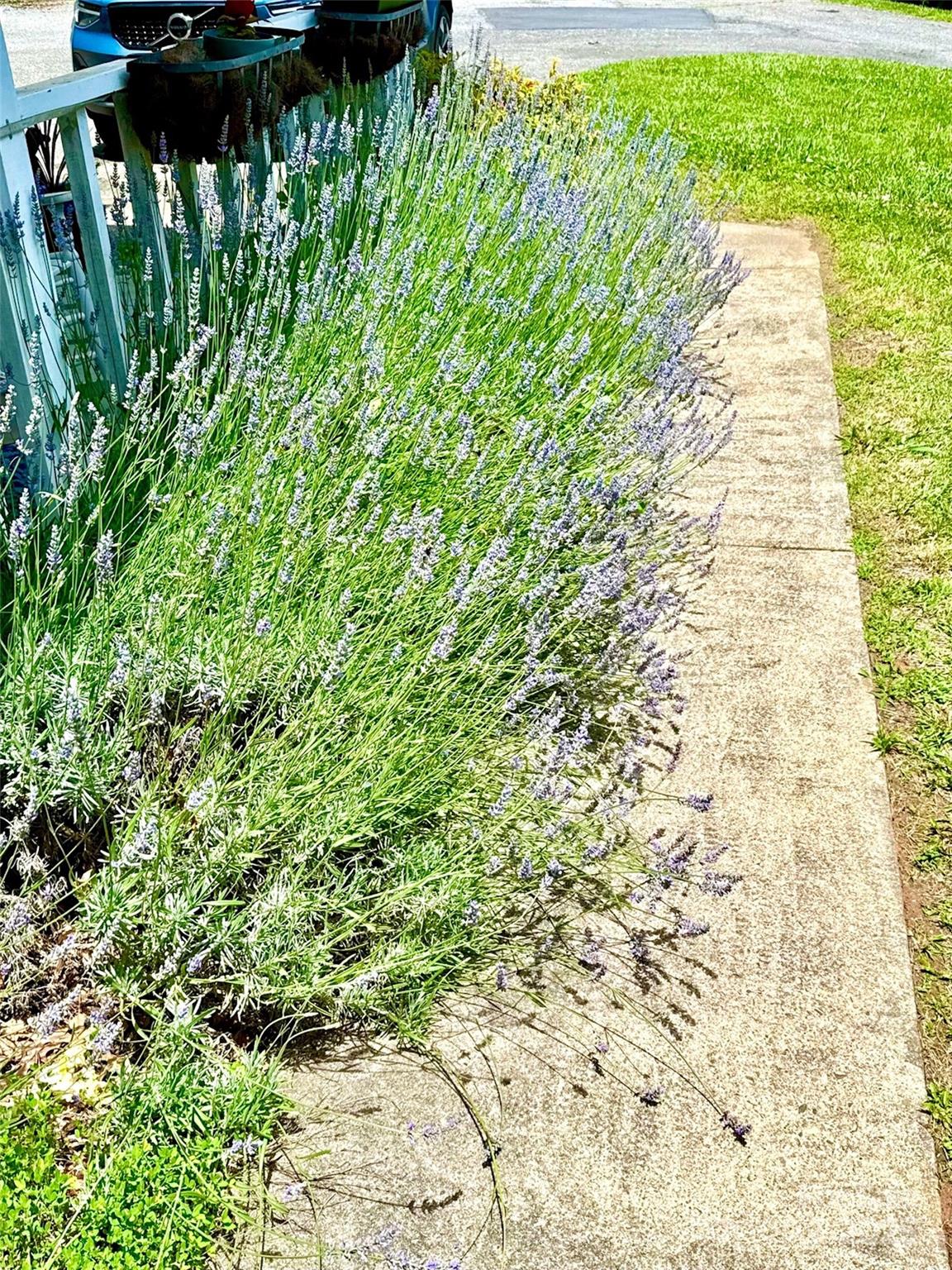 3 Rocking Porch Road Asheville NC 28805