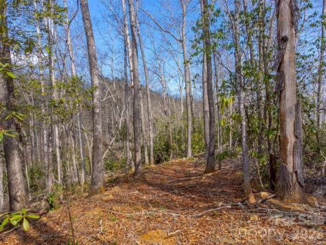 254 Ivory Lane Sylva NC 28779