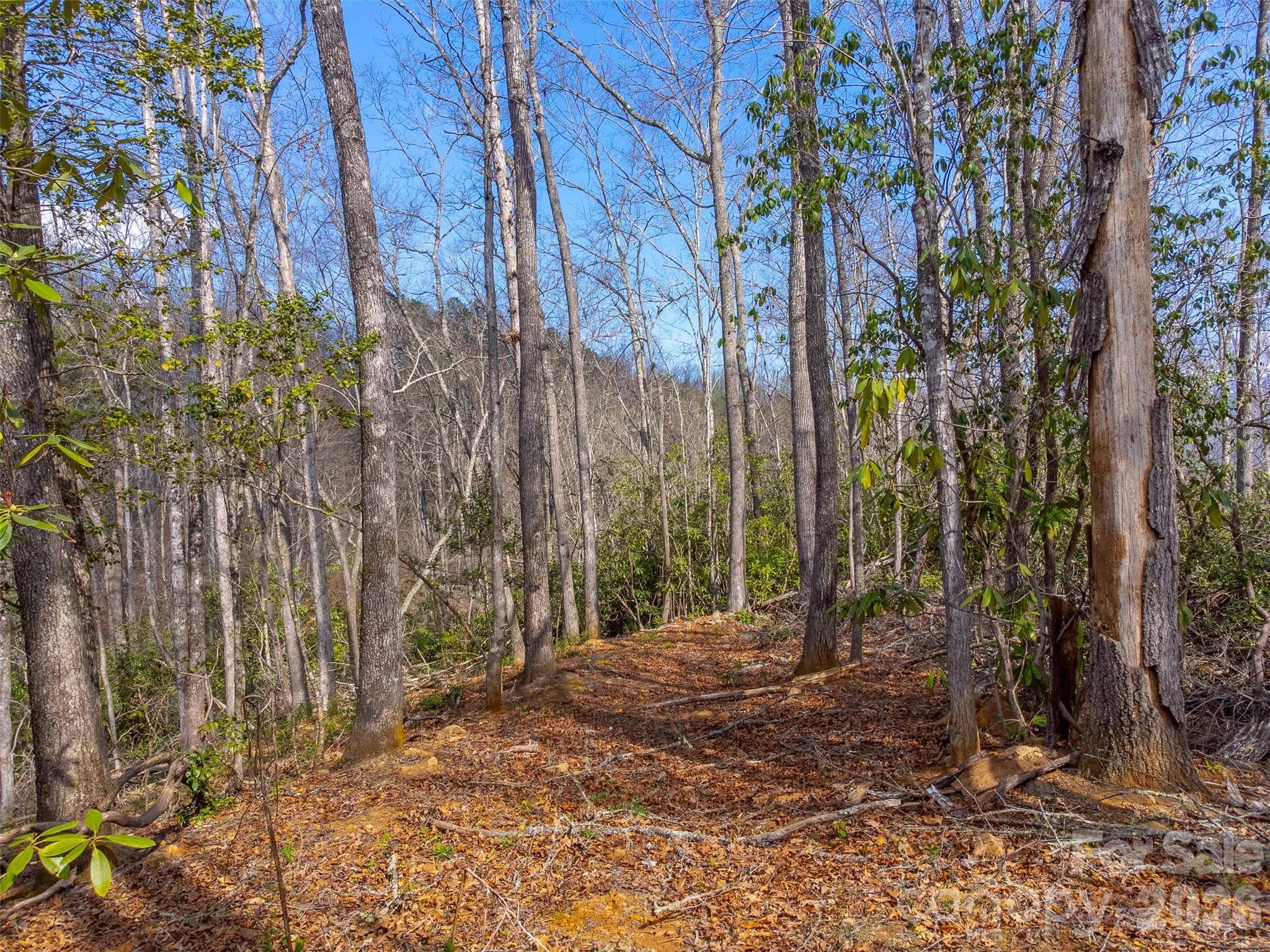 254 Ivory Lane Sylva NC 28779