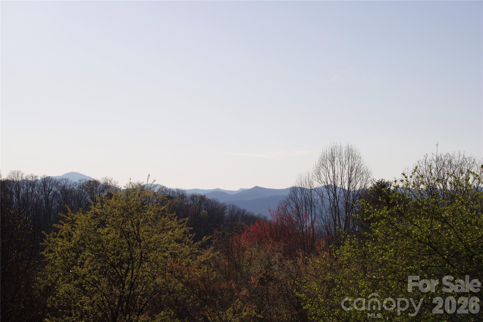 751 Hutch Mountain Road Fletcher NC 28732