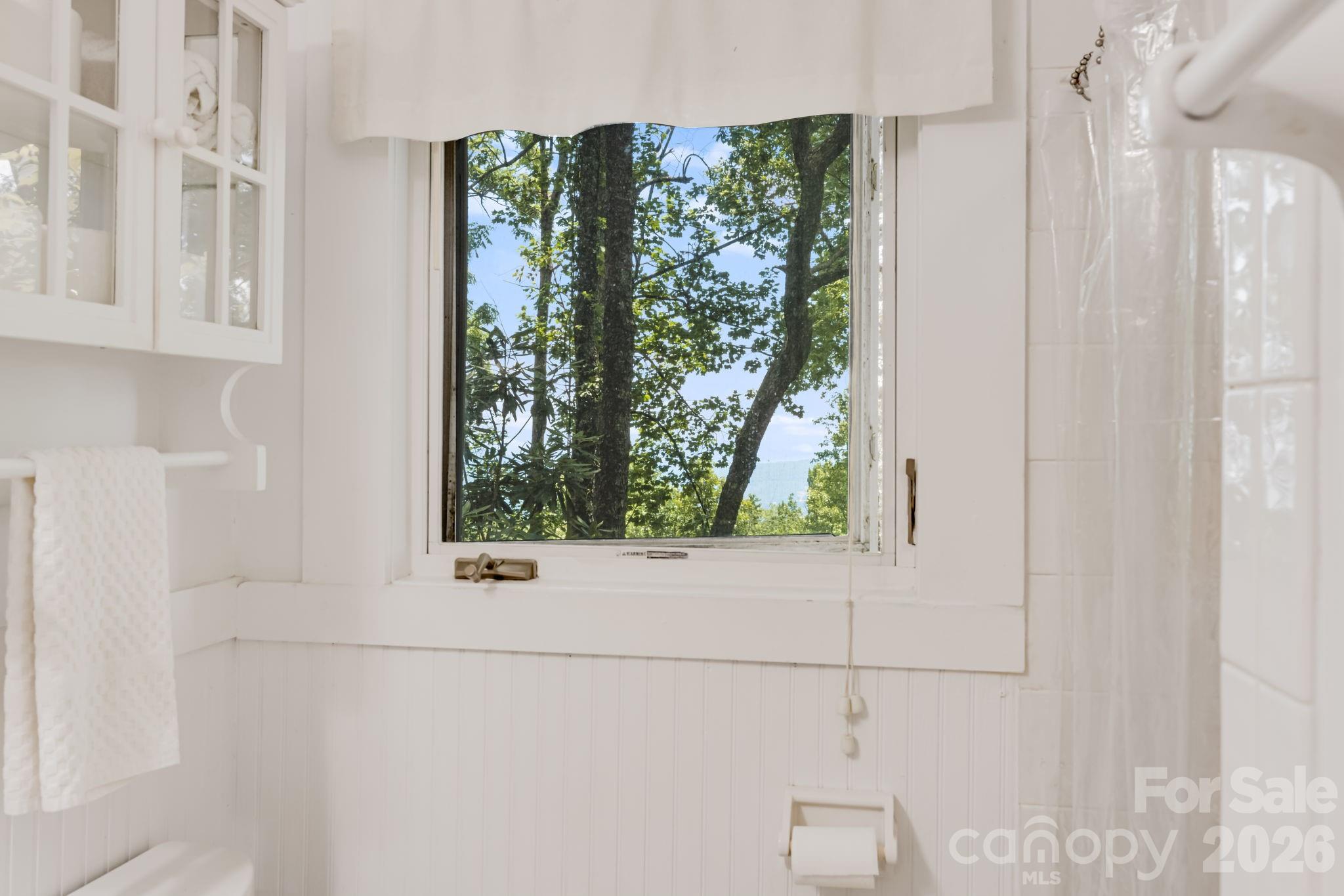 203 Laurel Lane Little Switzerland NC 28749