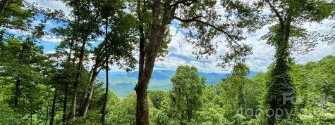 203 Laurel Lane Little Switzerland NC 28749
