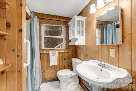 203 Laurel Lane Little Switzerland NC 28749