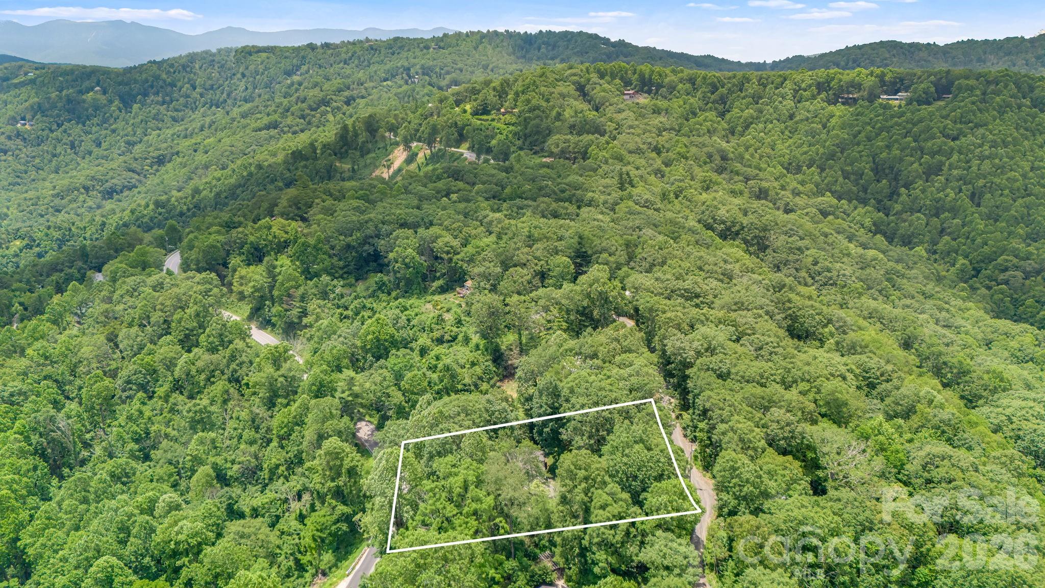 203 Laurel Lane Little Switzerland NC 28749