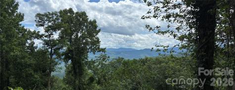 203 Laurel Lane Little Switzerland NC 28749