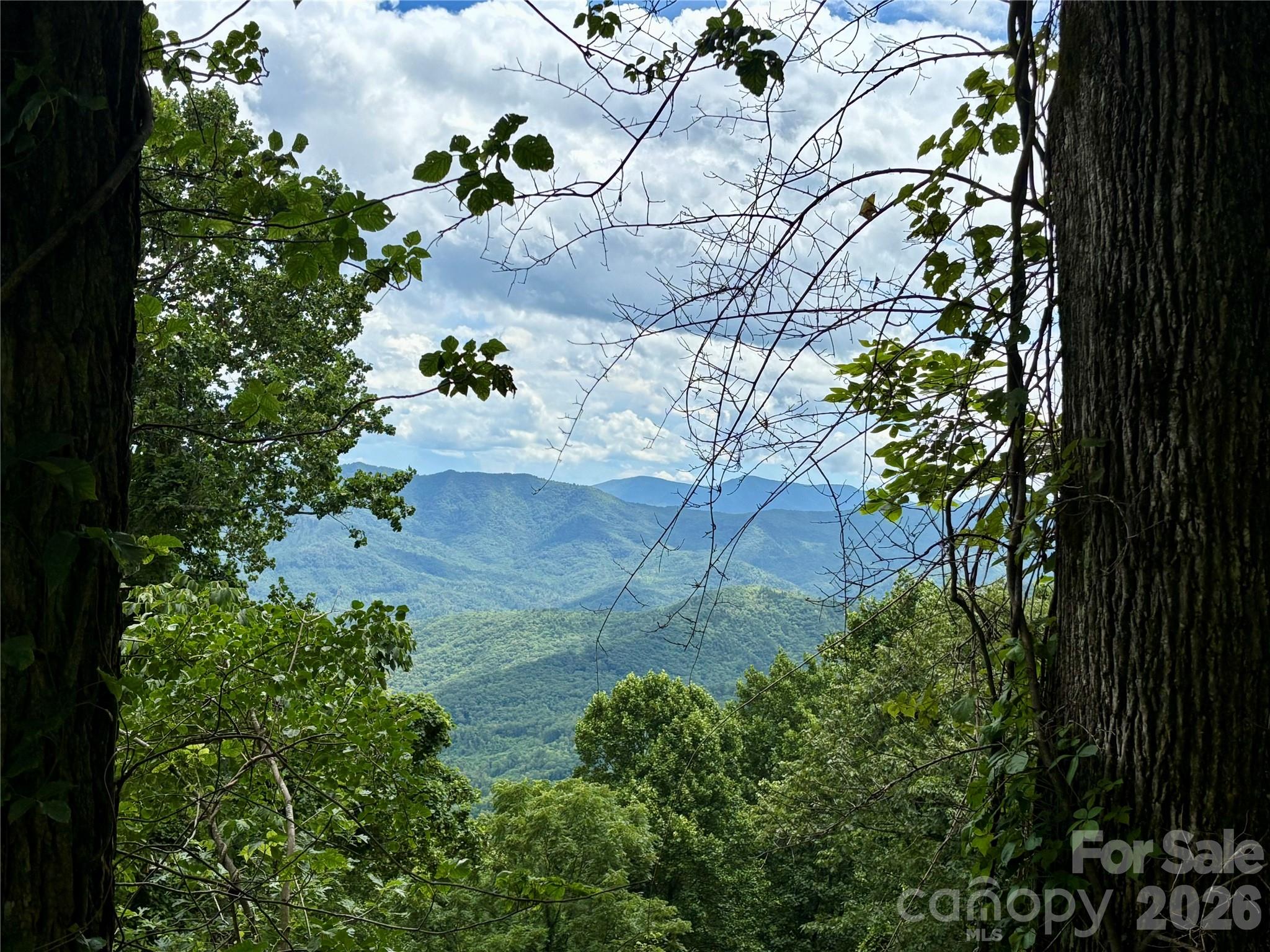 203 Laurel Lane Little Switzerland NC 28749