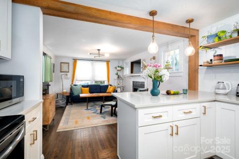 18 Jarrett Street Asheville NC 28806