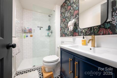 18 Jarrett Street Asheville NC 28806