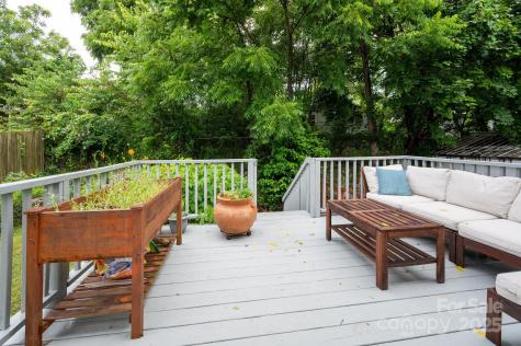 18 Jarrett Street Asheville NC 28806