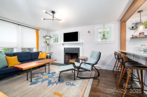 18 Jarrett Street Asheville NC 28806