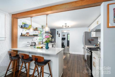 18 Jarrett Street Asheville NC 28806