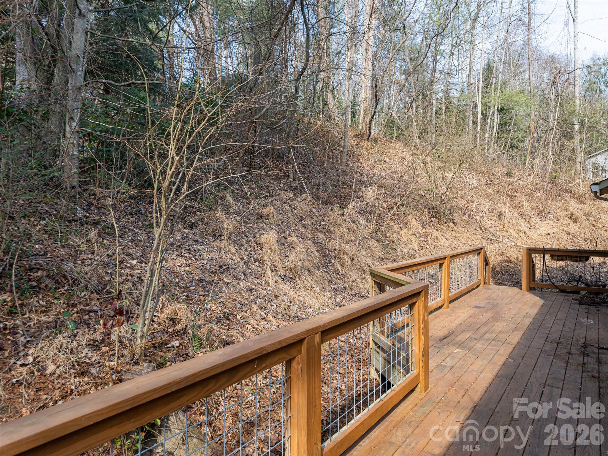 8 Turkey Toe Lane Arden NC 28704