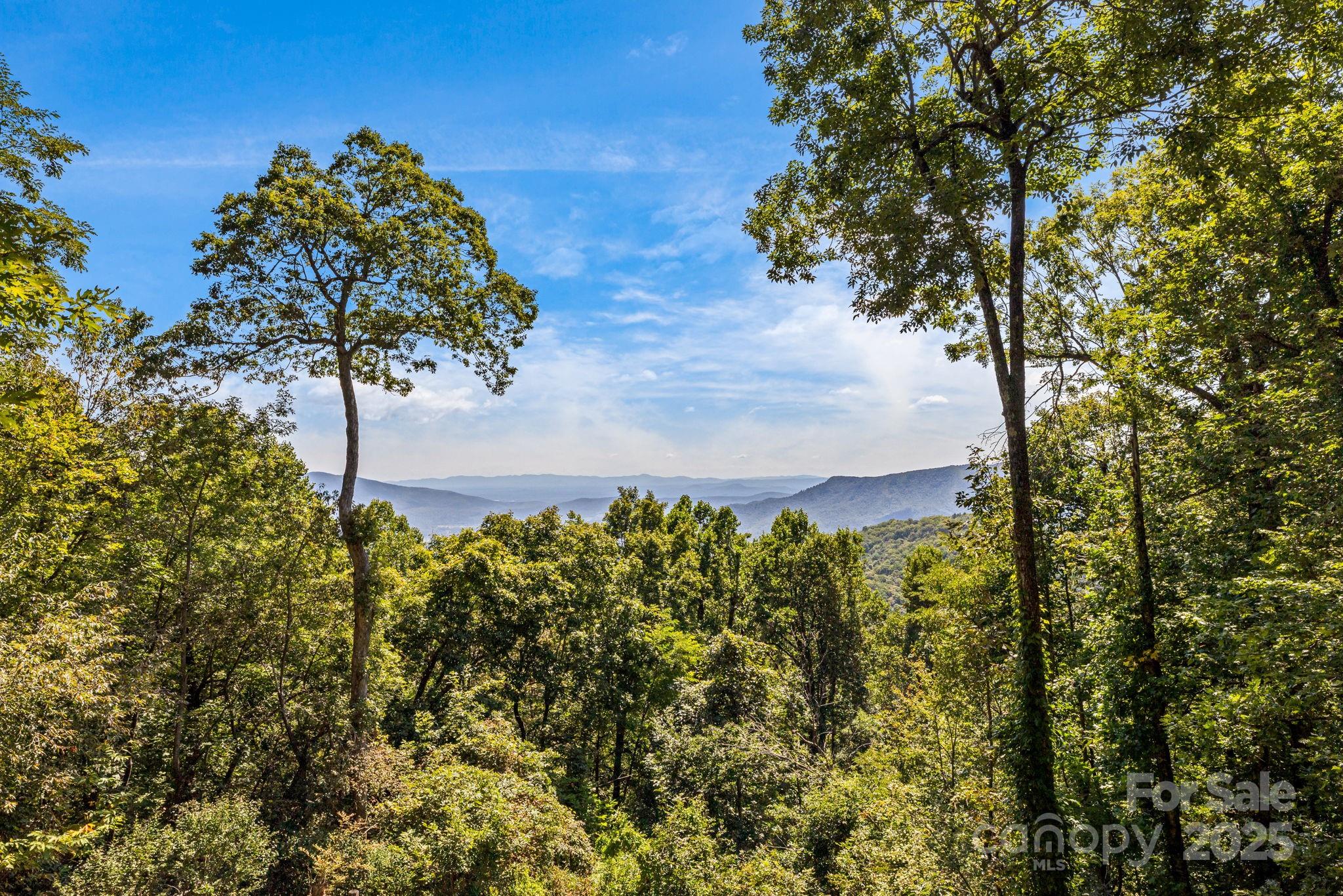 765/764 Osborne Knob Road Little Switzerland NC 28752