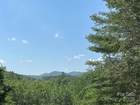 433 Leah Drive Bakersville NC 28705