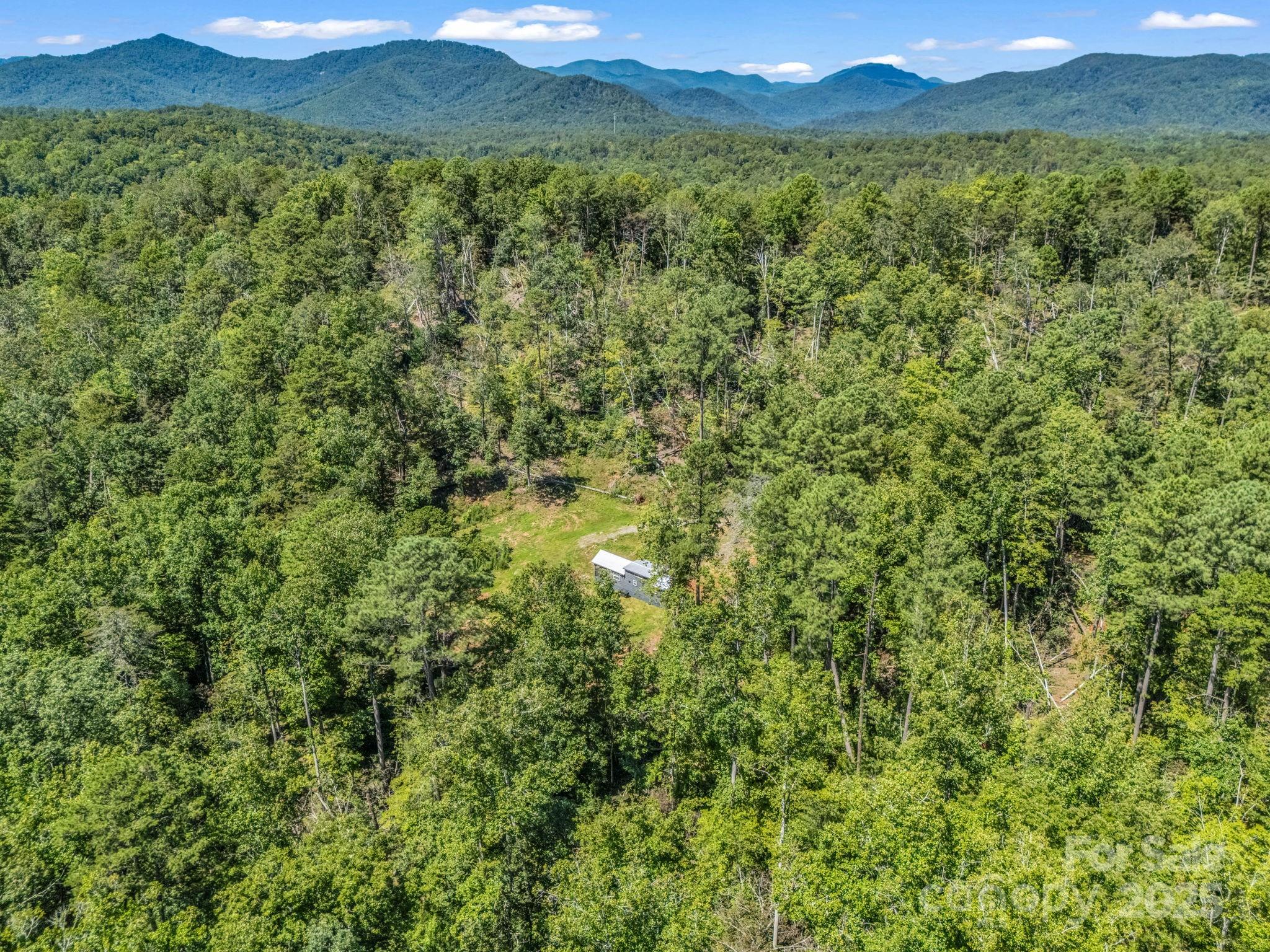 231 Wandering Bear Way Lake Lure NC 28746