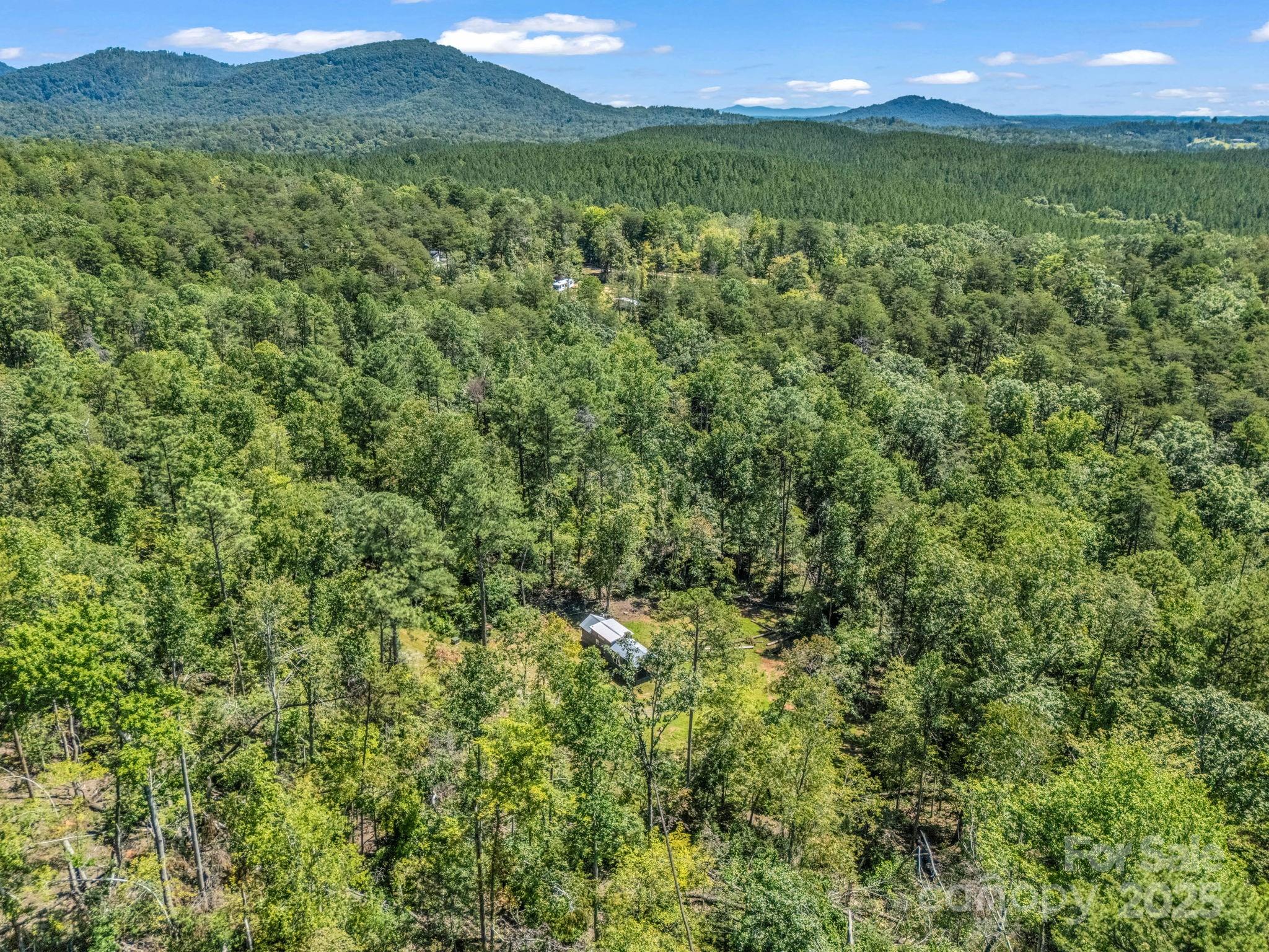 231 Wandering Bear Way Lake Lure NC 28746