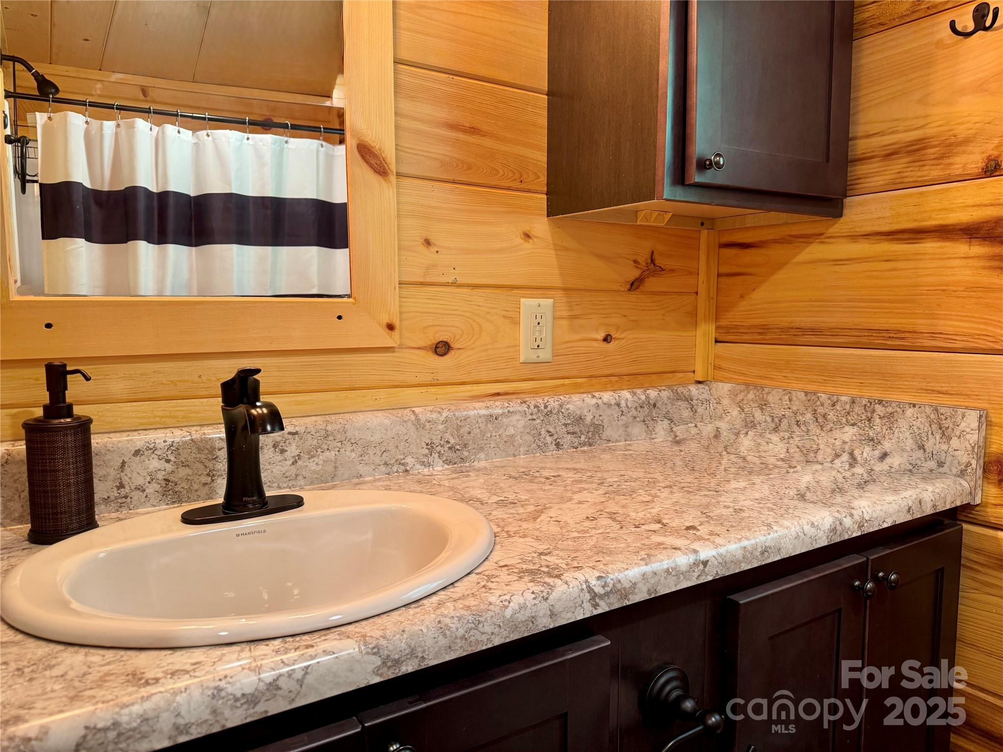 231 Wandering Bear Way Lake Lure NC 28746