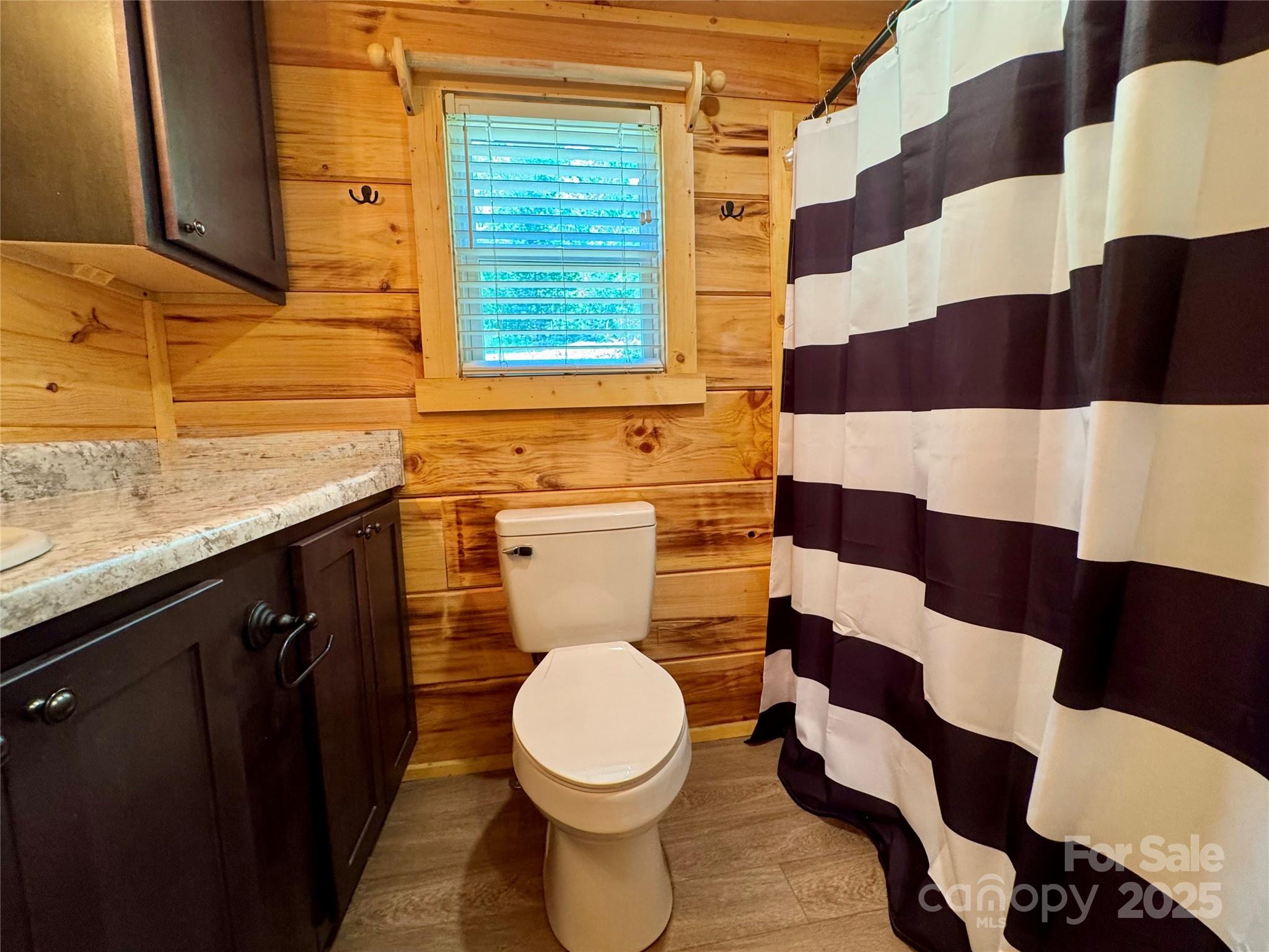 231 Wandering Bear Way Lake Lure NC 28746