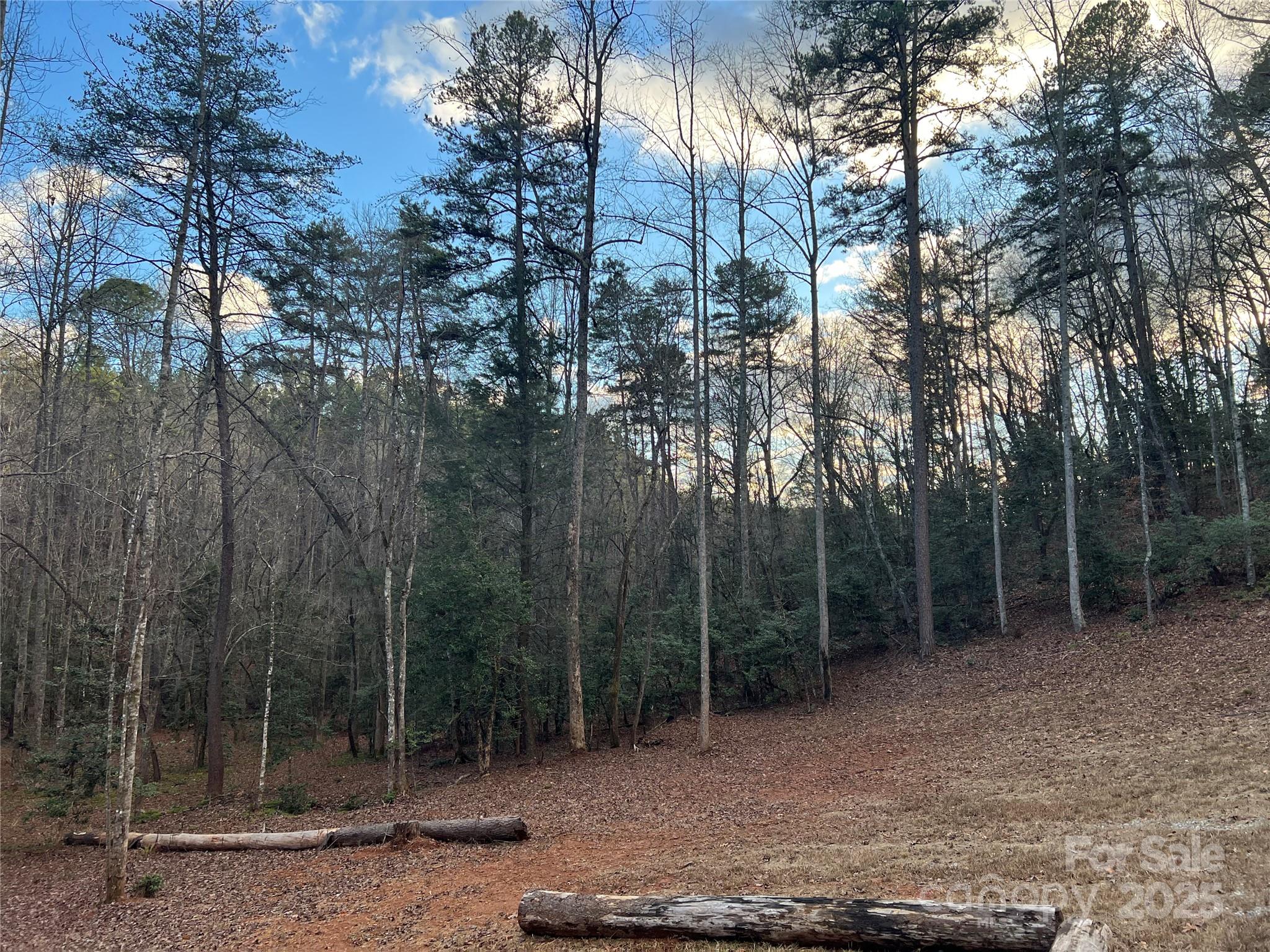 231 Wandering Bear Way Lake Lure NC 28746