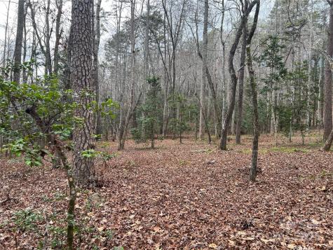 231 Wandering Bear Way Lake Lure NC 28746