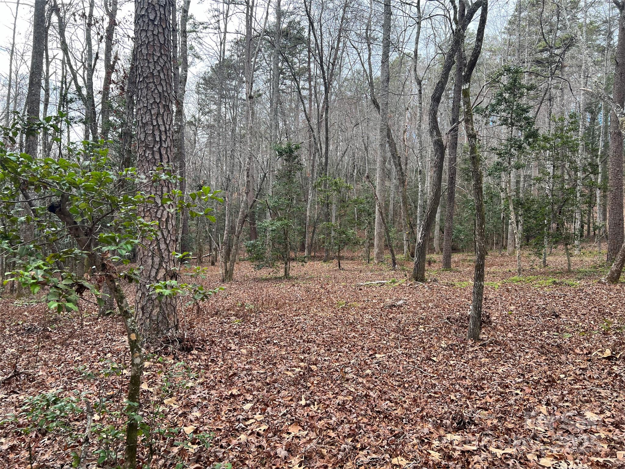 231 Wandering Bear Way Lake Lure NC 28746