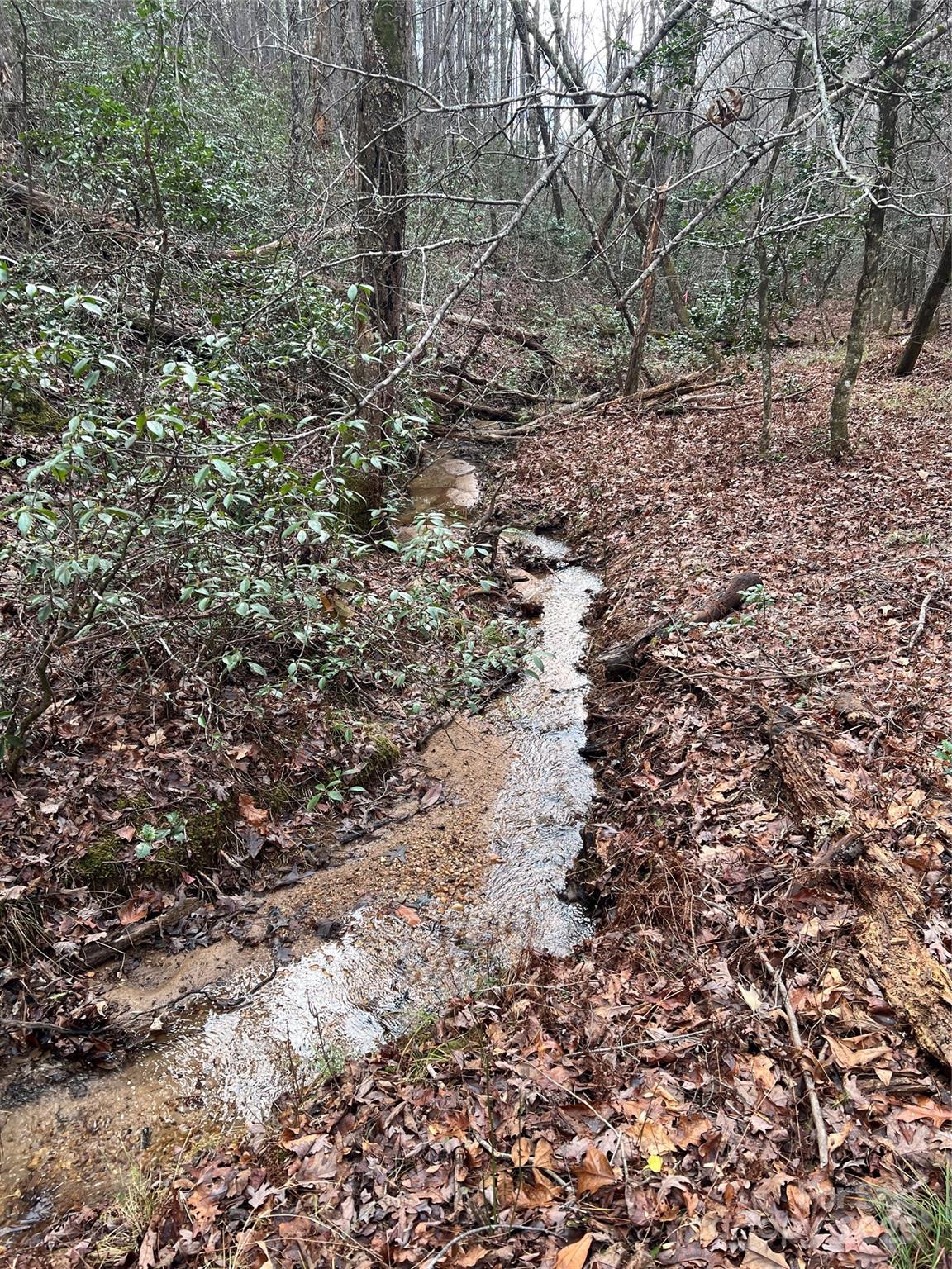 231 Wandering Bear Way Lake Lure NC 28746