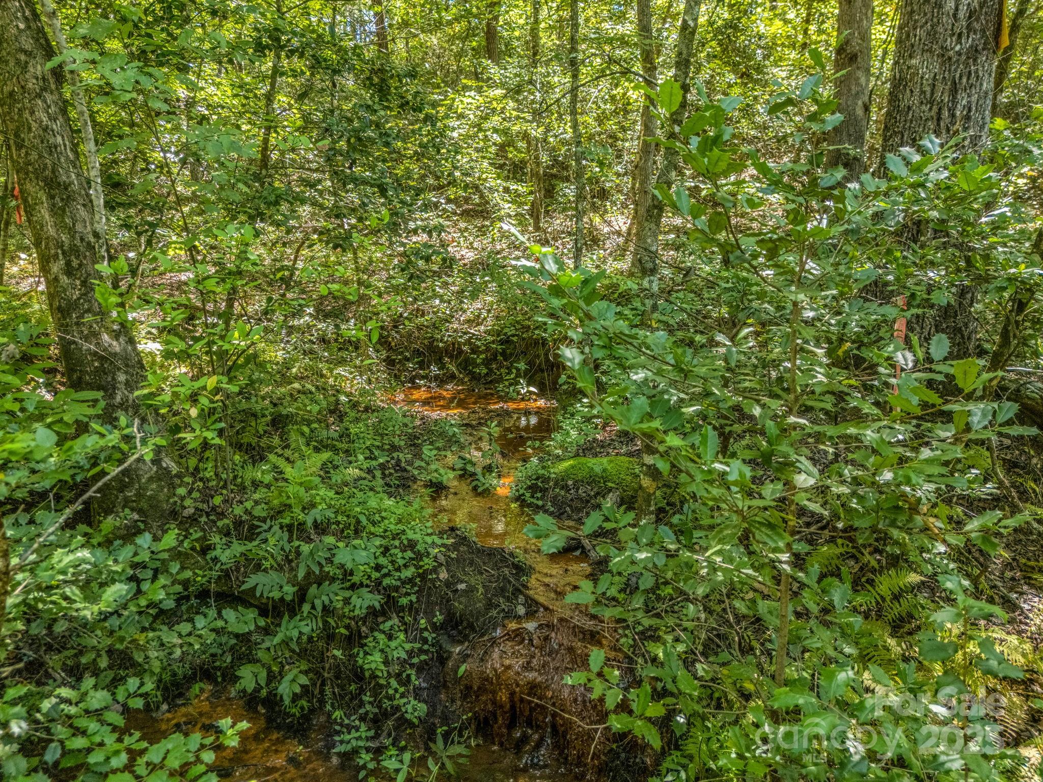 231 Wandering Bear Way Lake Lure NC 28746
