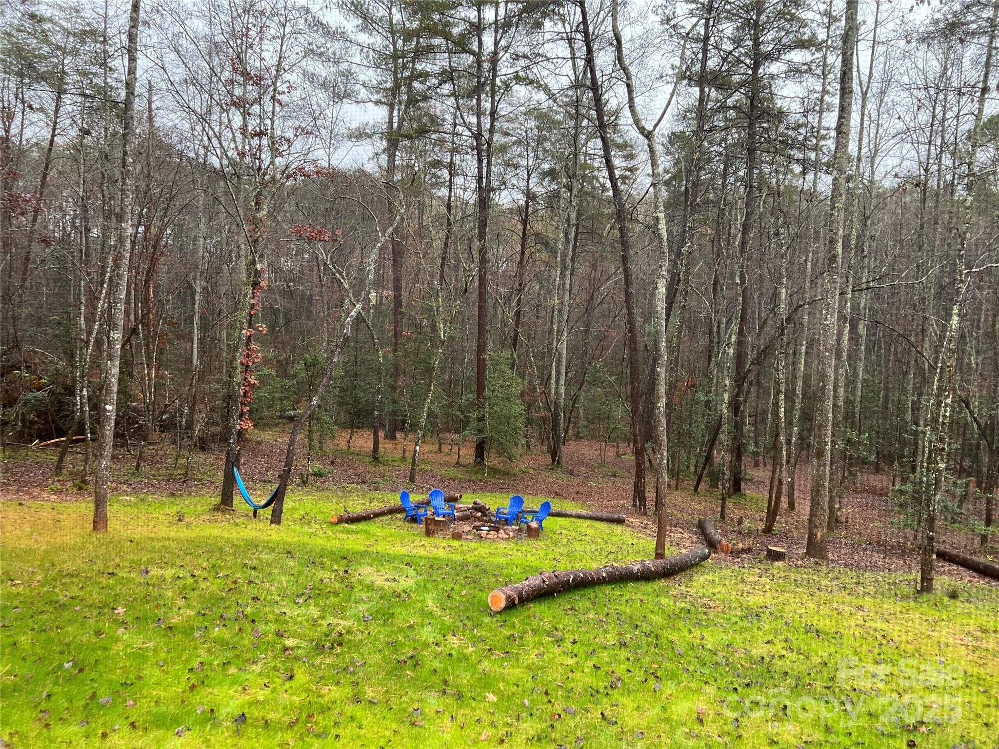 231 Wandering Bear Way Lake Lure NC 28746