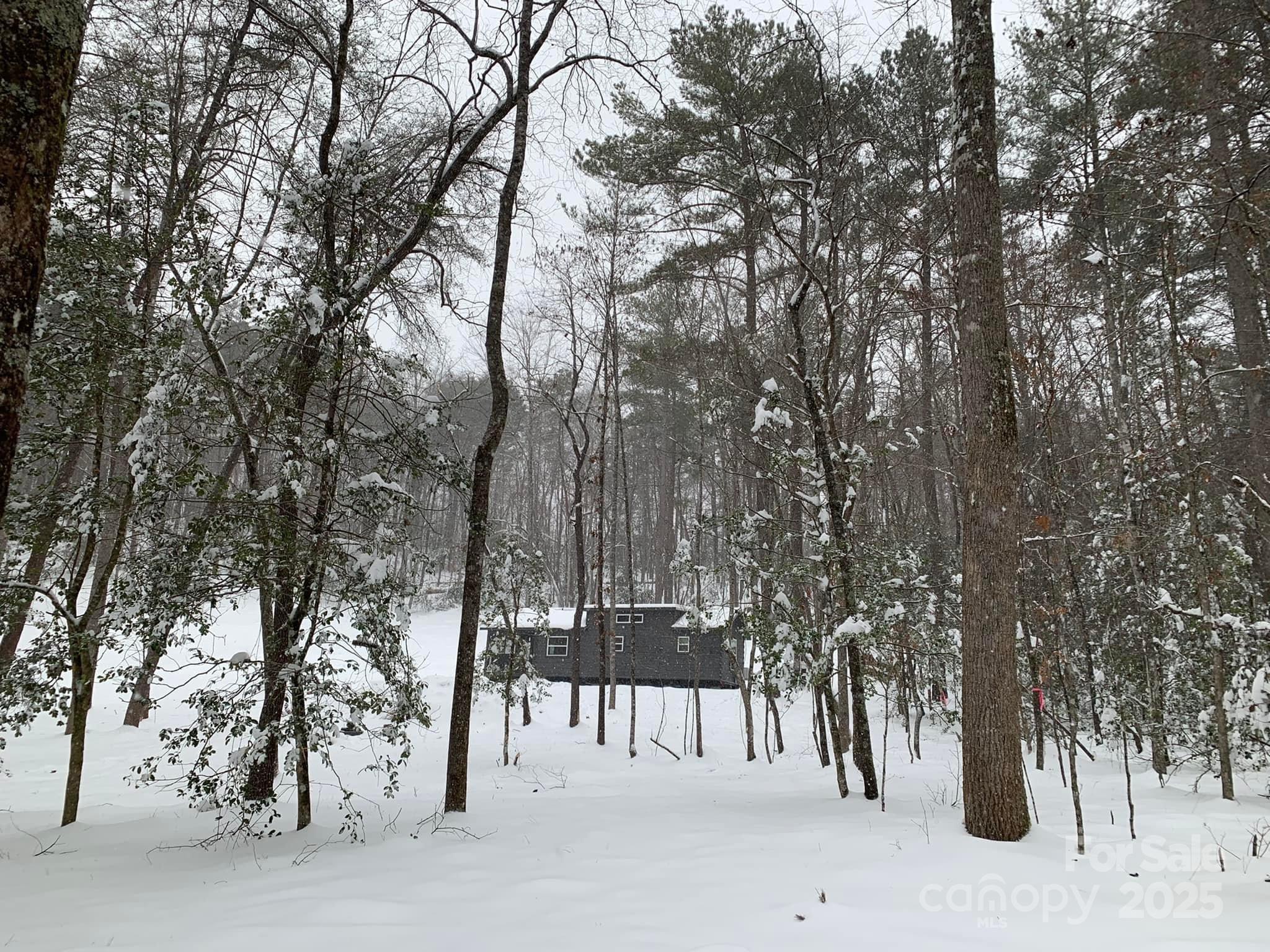 231 Wandering Bear Way Lake Lure NC 28746