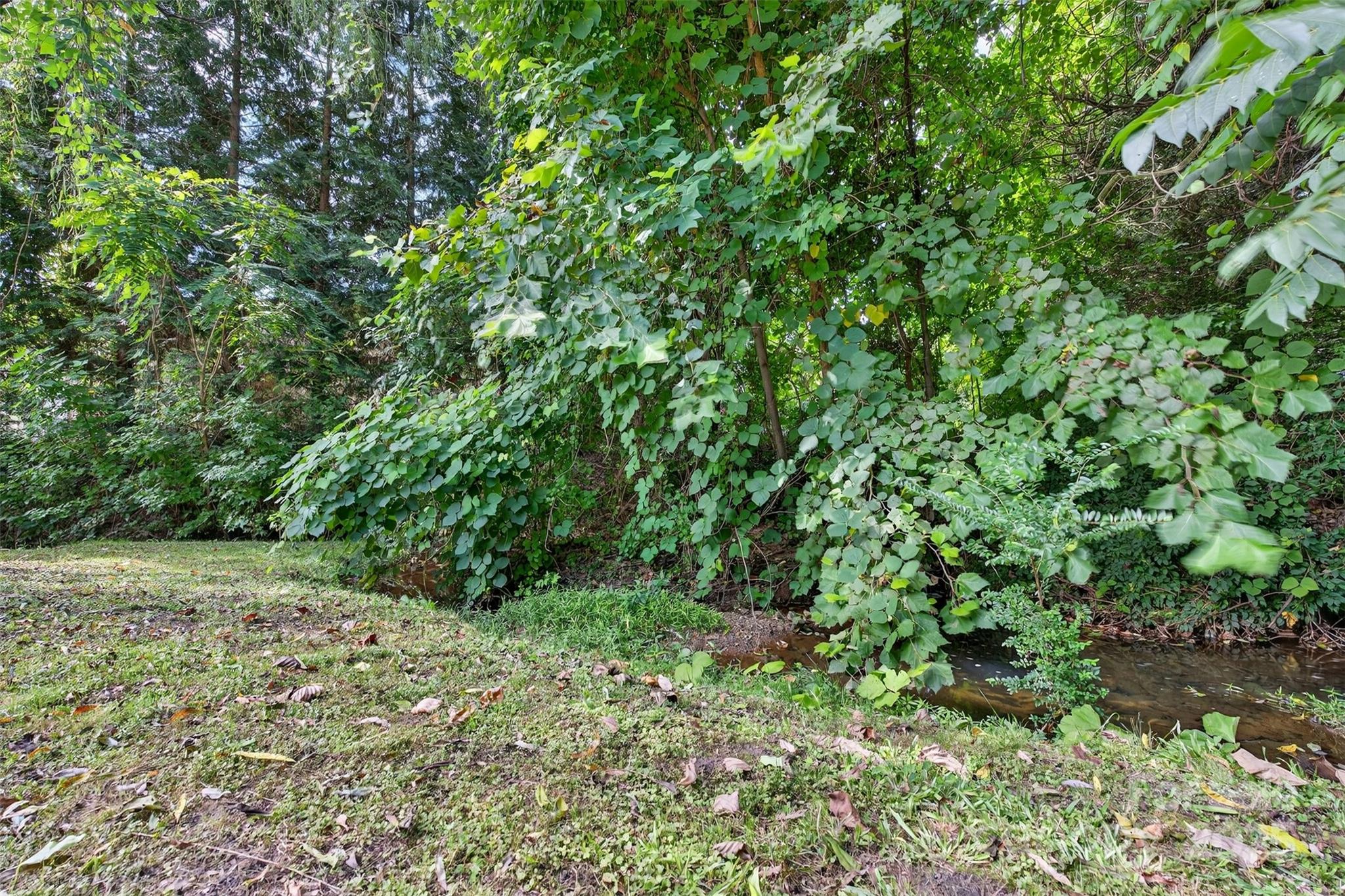160 E Howard Street Tryon NC 28782