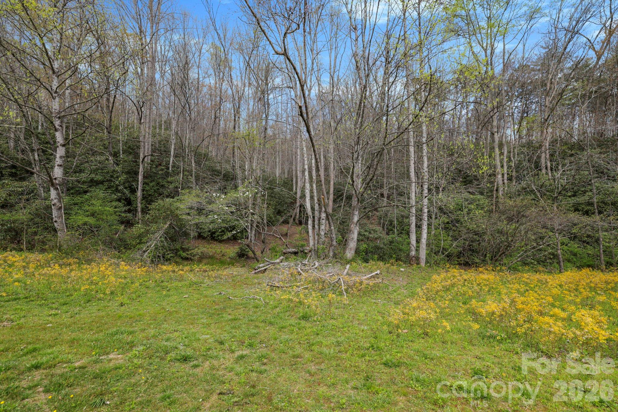 305 Stamey Creek Road Brevard NC 28712