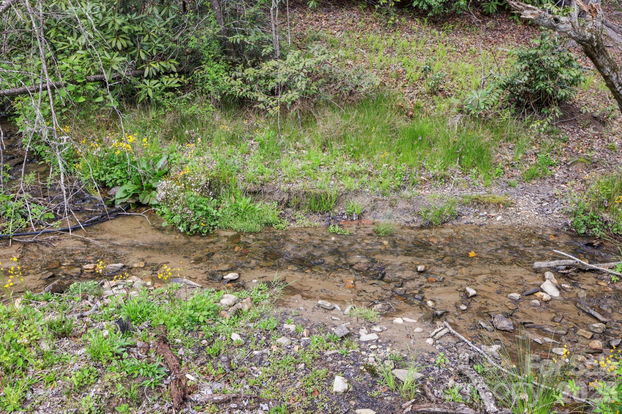 305 Stamey Creek Road Brevard NC 28712