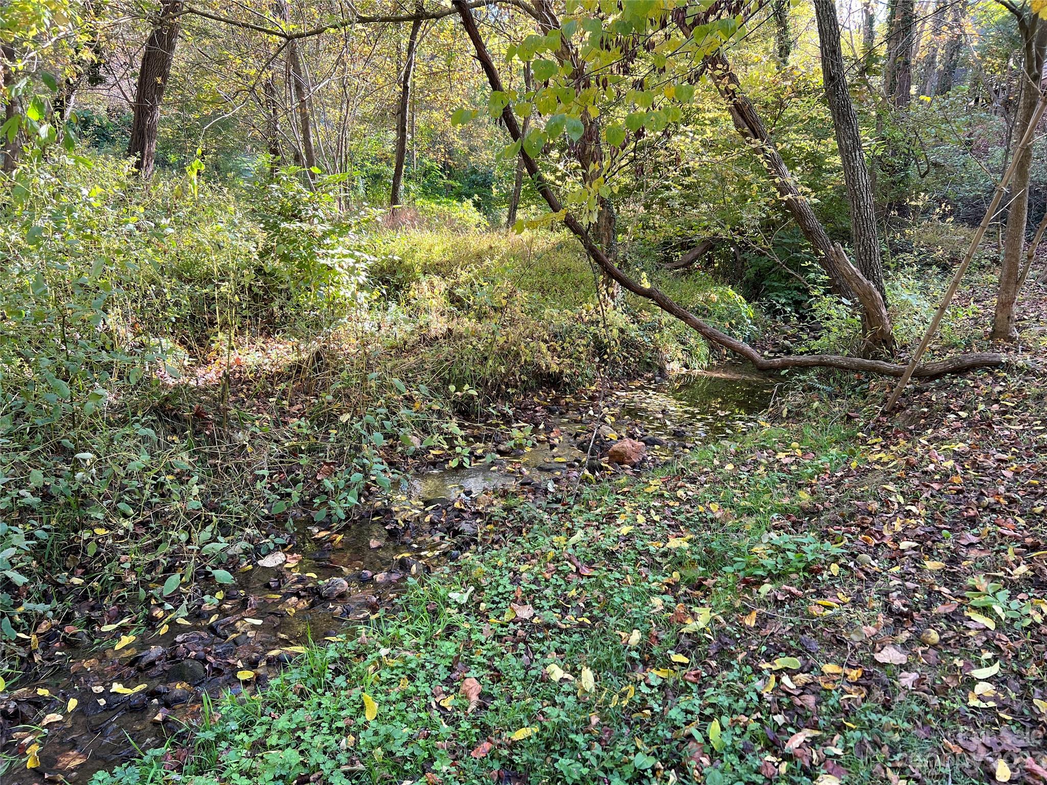 53 Orrinel Way Asheville NC 28806