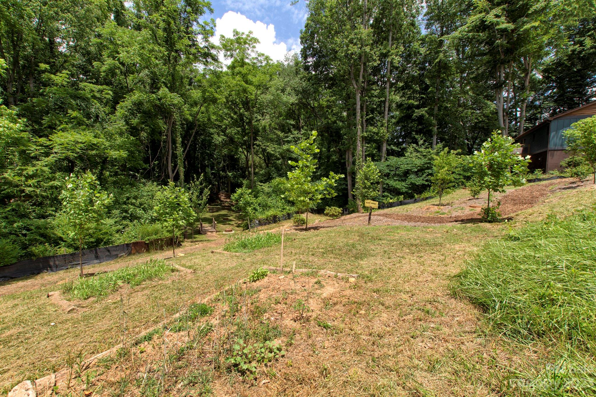 53 Orrinel Way Asheville NC 28806