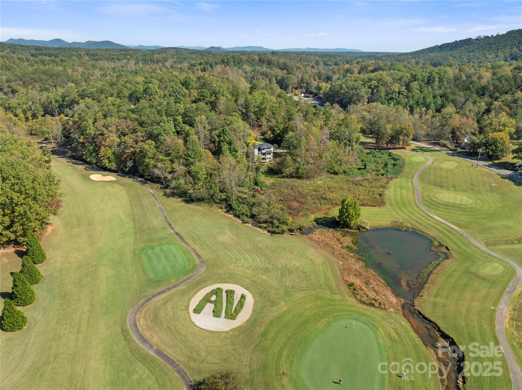 108 June Court Lake Lure NC 28746