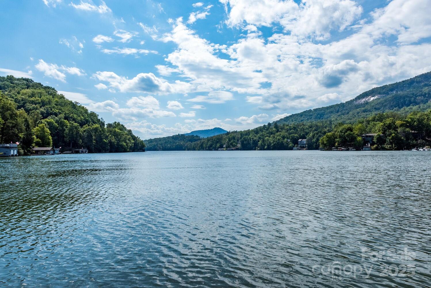 108 June Court Lake Lure NC 28746