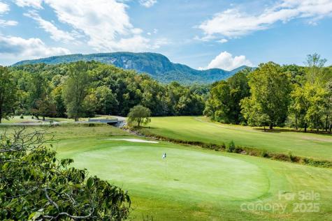 108 June Court Lake Lure NC 28746