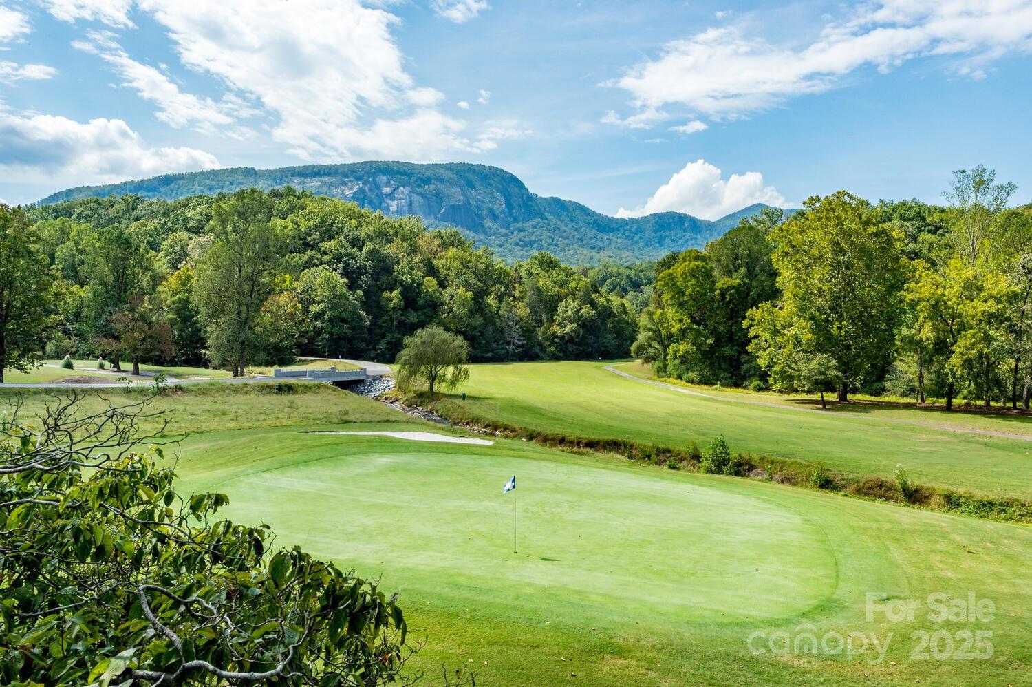 108 June Court Lake Lure NC 28746