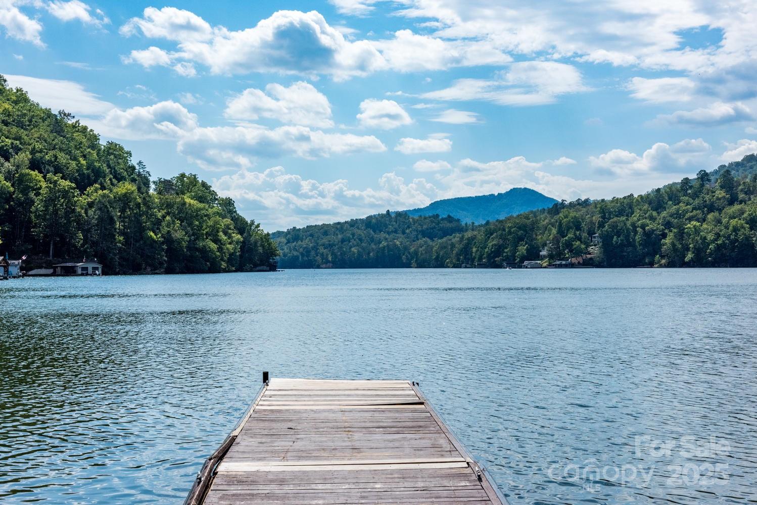 108 June Court Lake Lure NC 28746