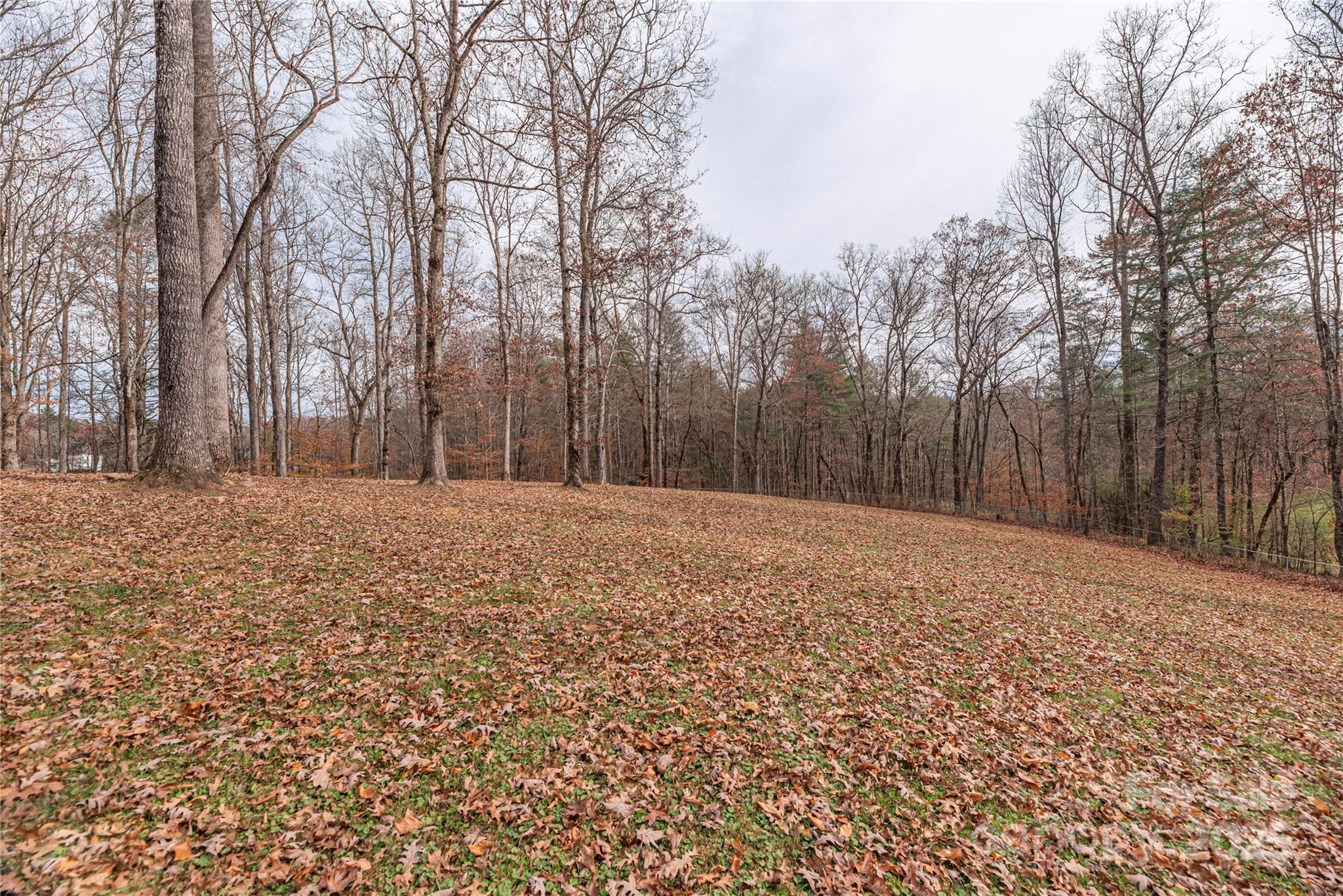 236 Pole Miller Extension Brevard NC 28712