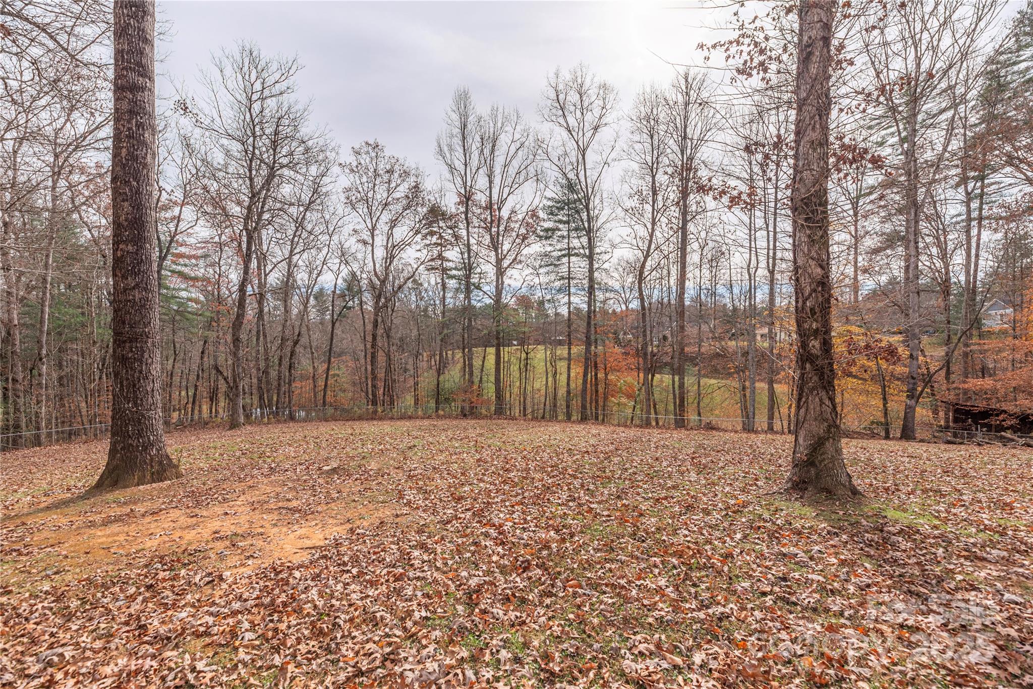 236 Pole Miller Extension Brevard NC 28712