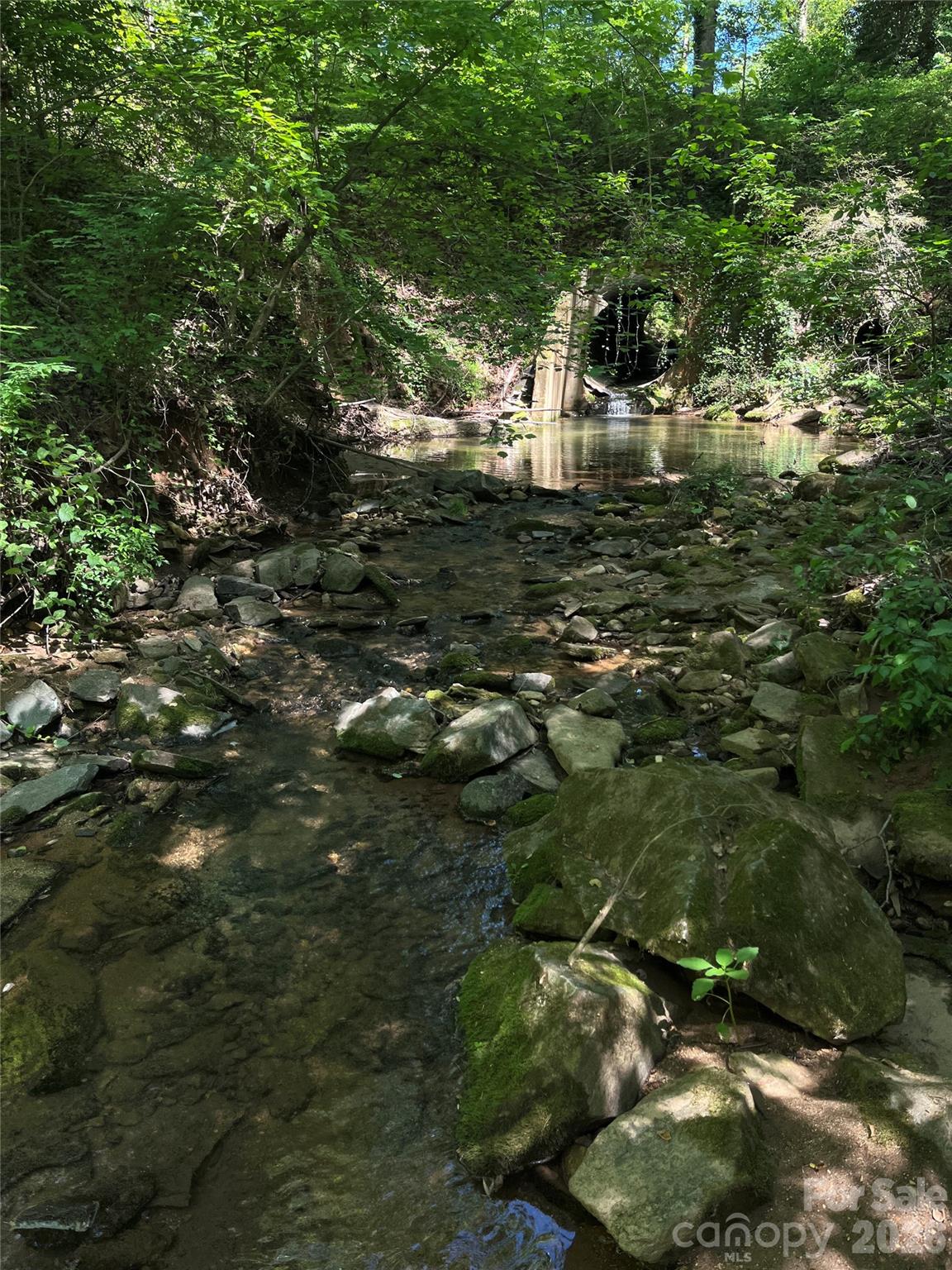 231 Davis Drive Morganton NC 28655