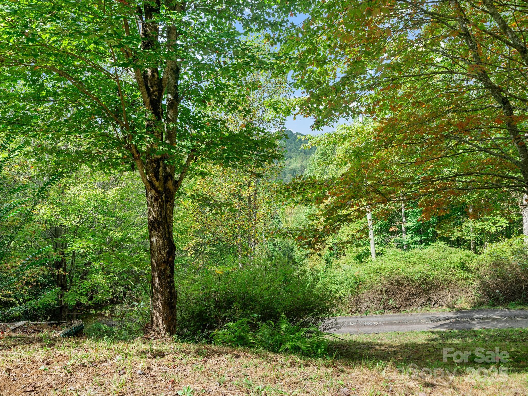 158 Dover Lane Spruce Pine NC 28777
