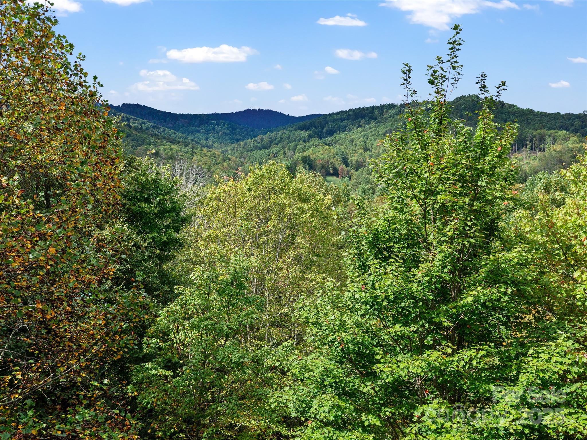 158 Dover Lane Spruce Pine NC 28777