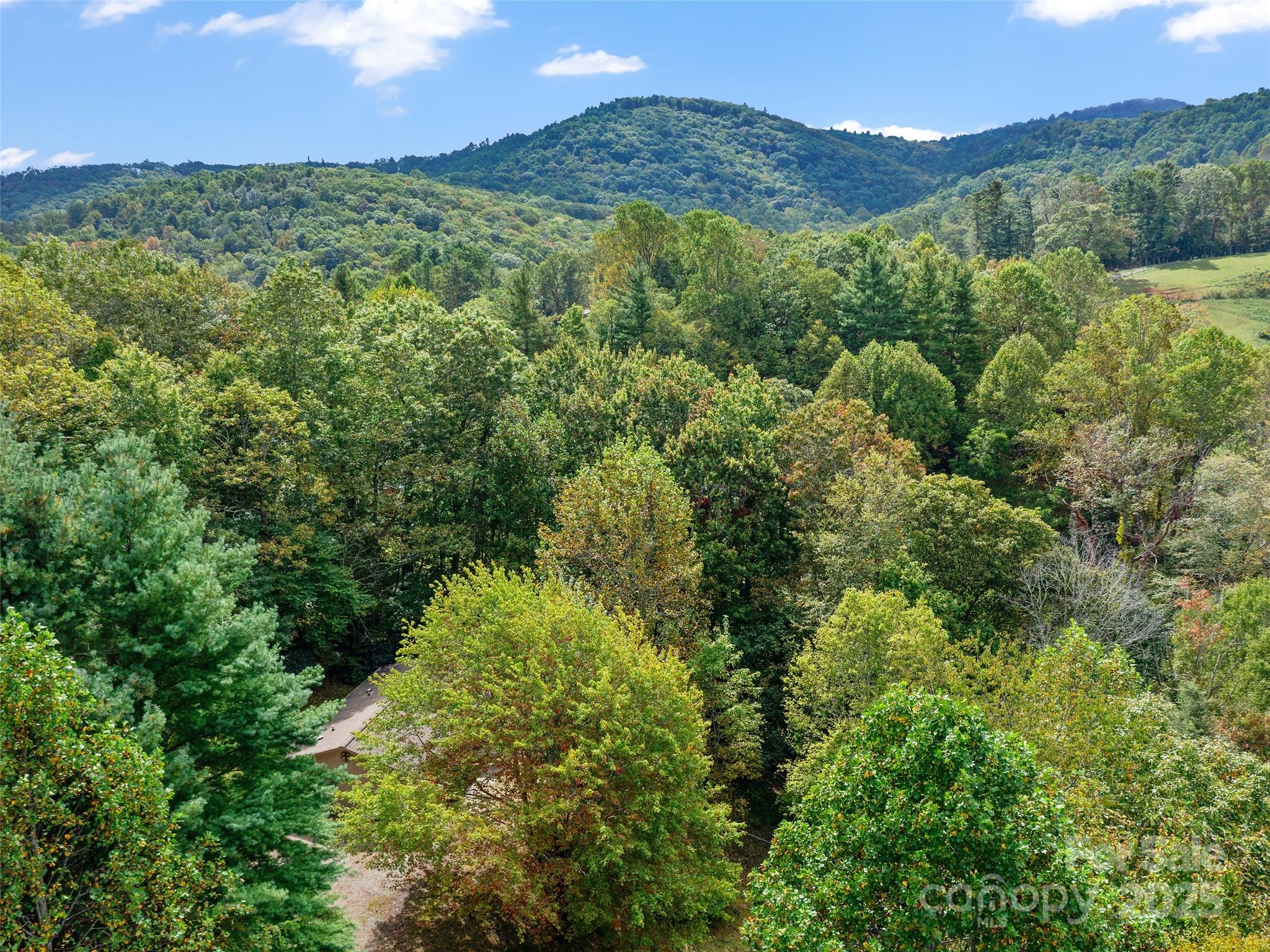 158 Dover Lane Spruce Pine NC 28777