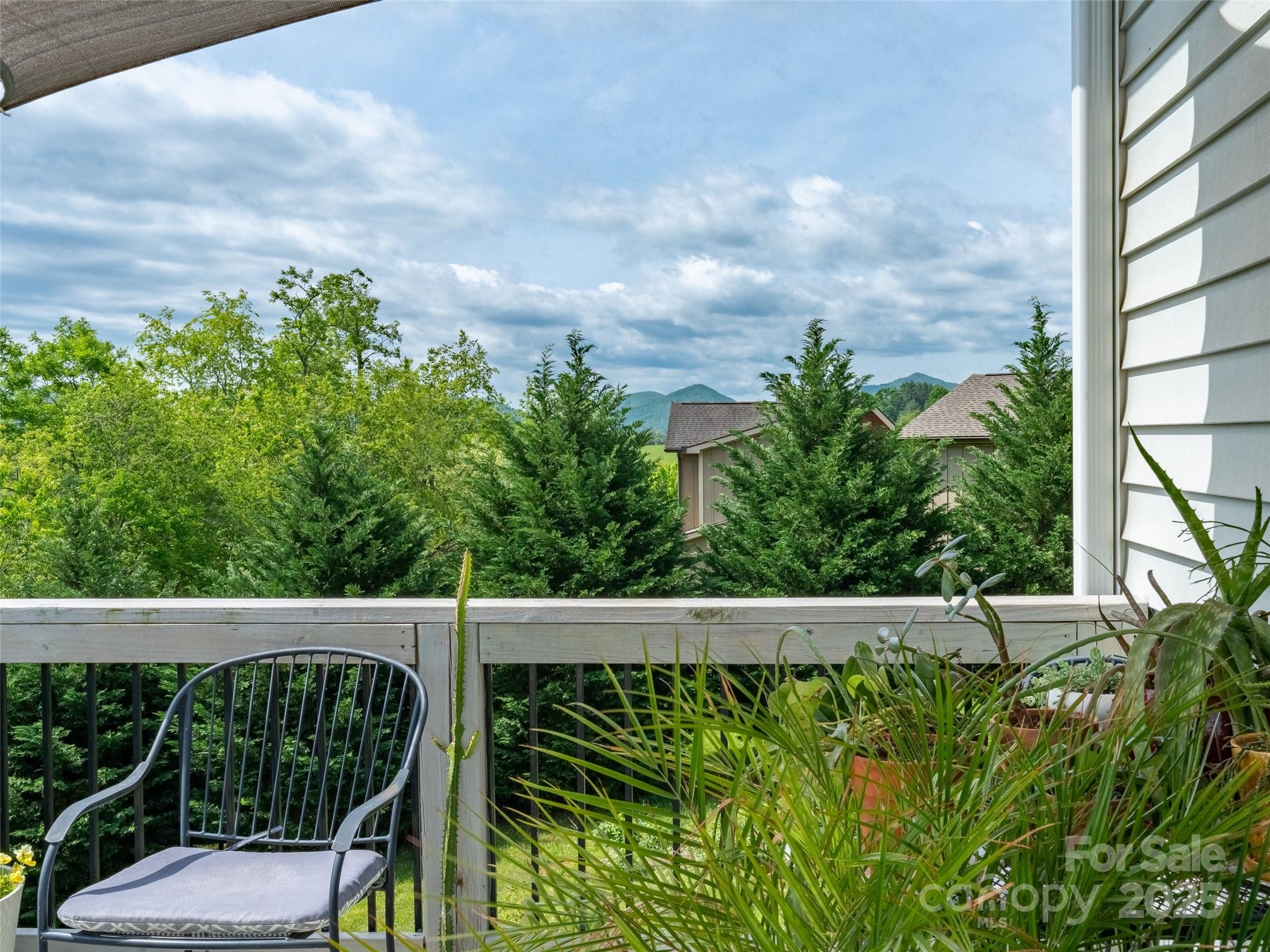 12 Paul Bridges Road Alexander NC 28701