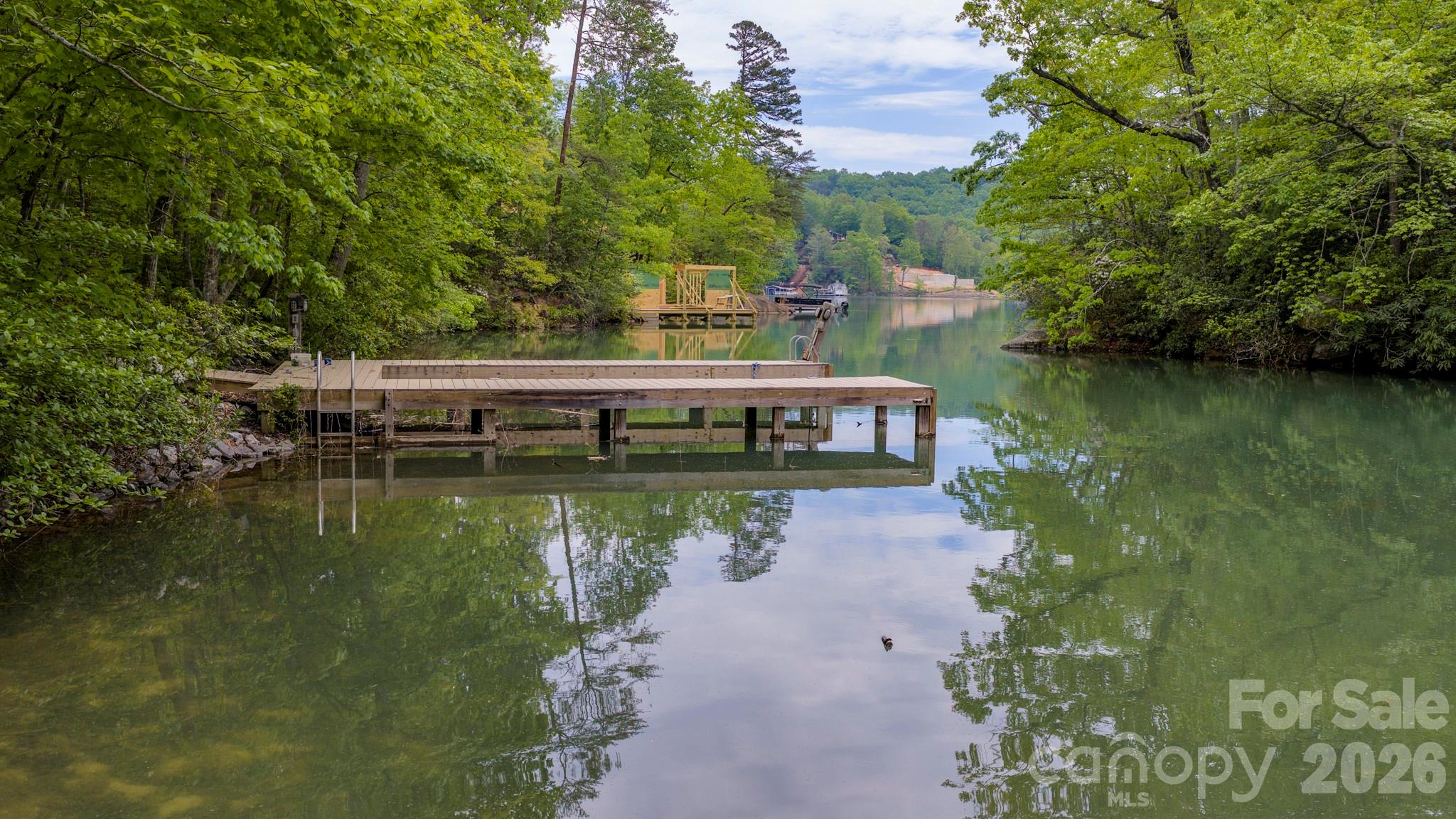286 Holmstead Drive Lake Lure NC 28746