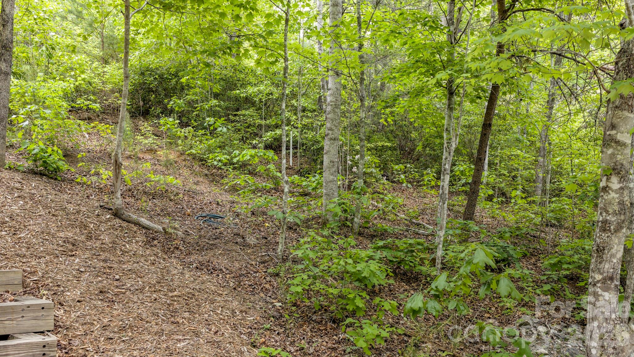 286 Holmstead Drive Lake Lure NC 28746
