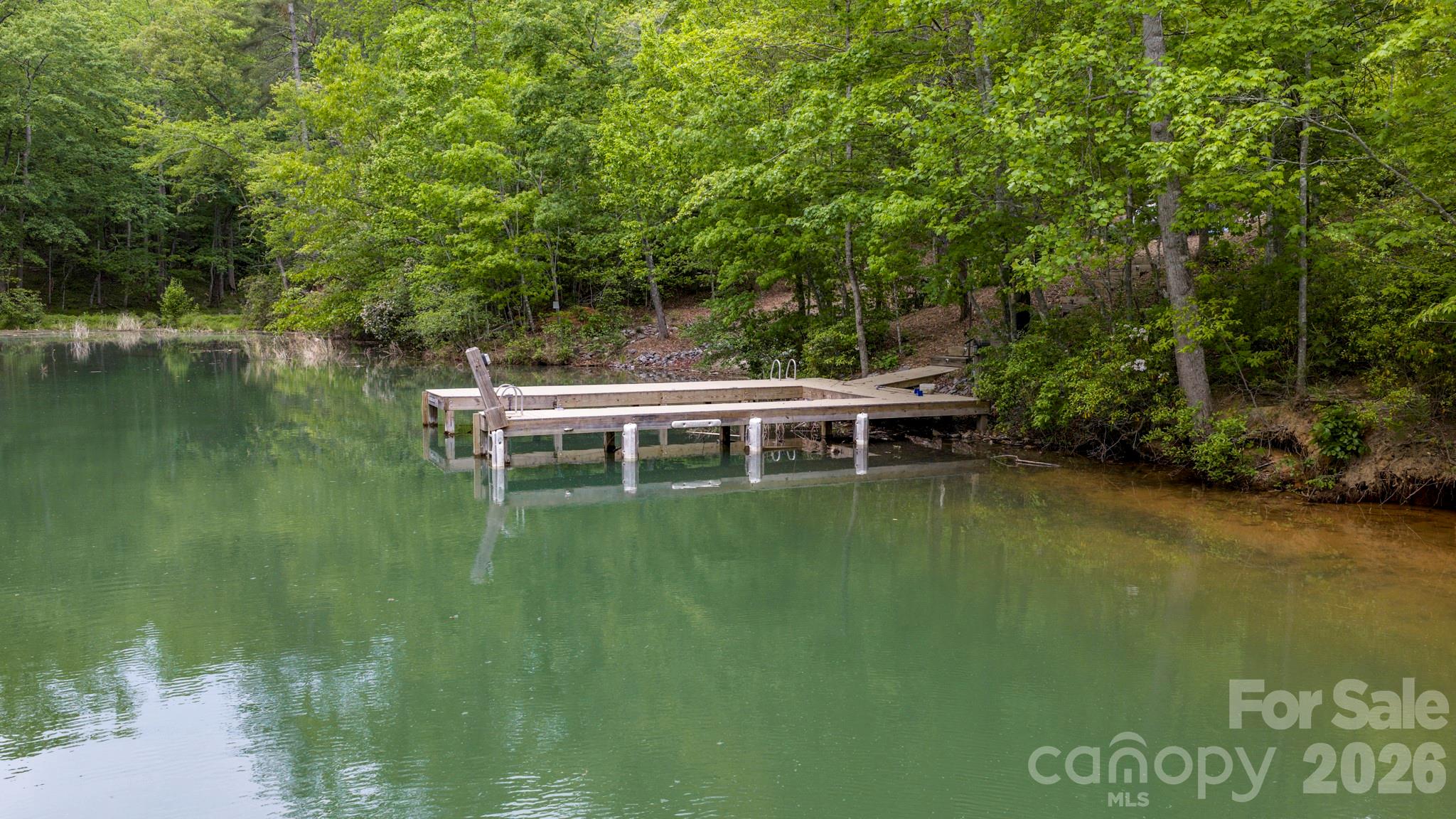 286 Holmstead Drive Lake Lure NC 28746